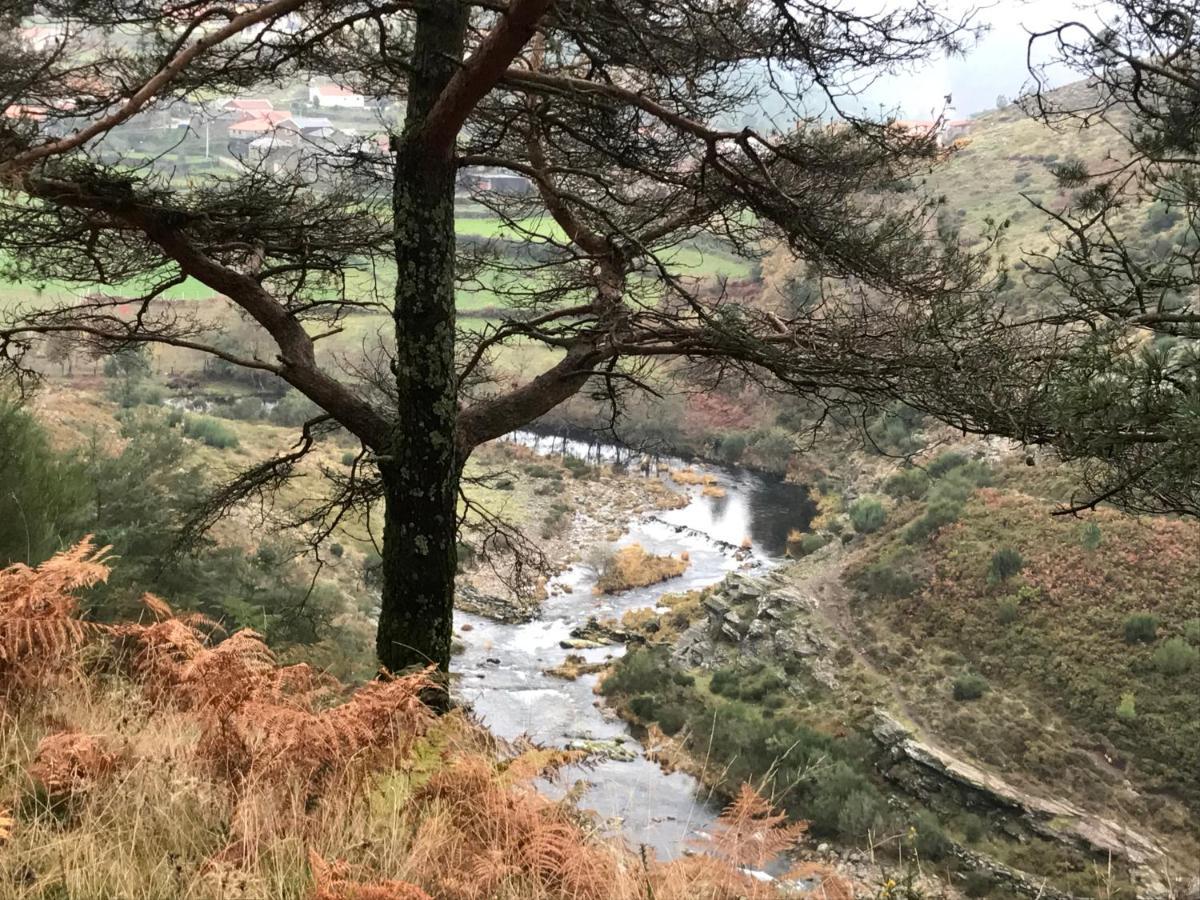 Refugio Dos Macedos Villa Bilho Dış mekan fotoğraf